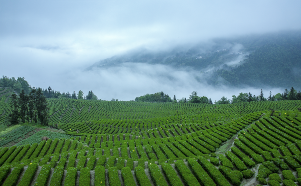 1600672520568.png 2.png