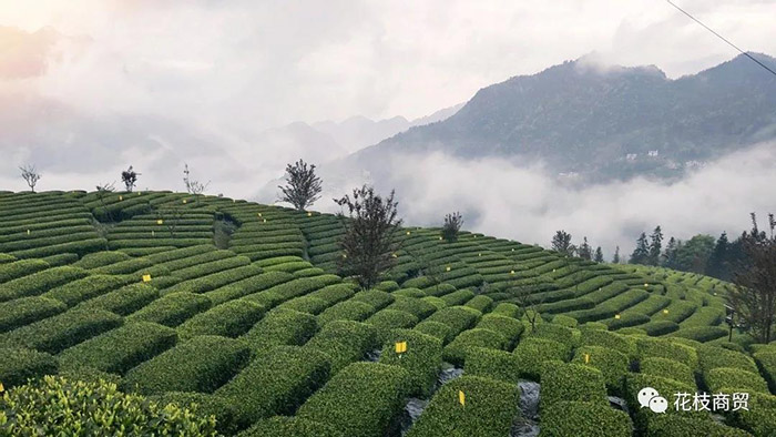 1619056127174.jpg 微信图片_20210422094732.jpg