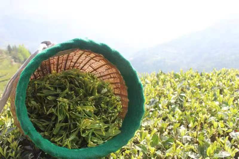 1670817021098.jpg 微信图片_20221212113546.jpg