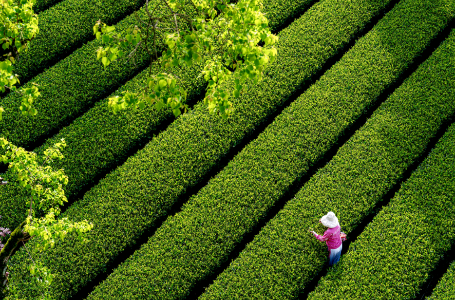 1761537118838.png 1761537118838.png